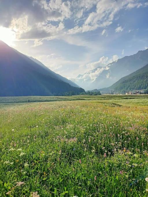 Villa Costa Da Lori Cogne Buitenkant foto